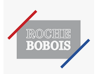Roche Bobois